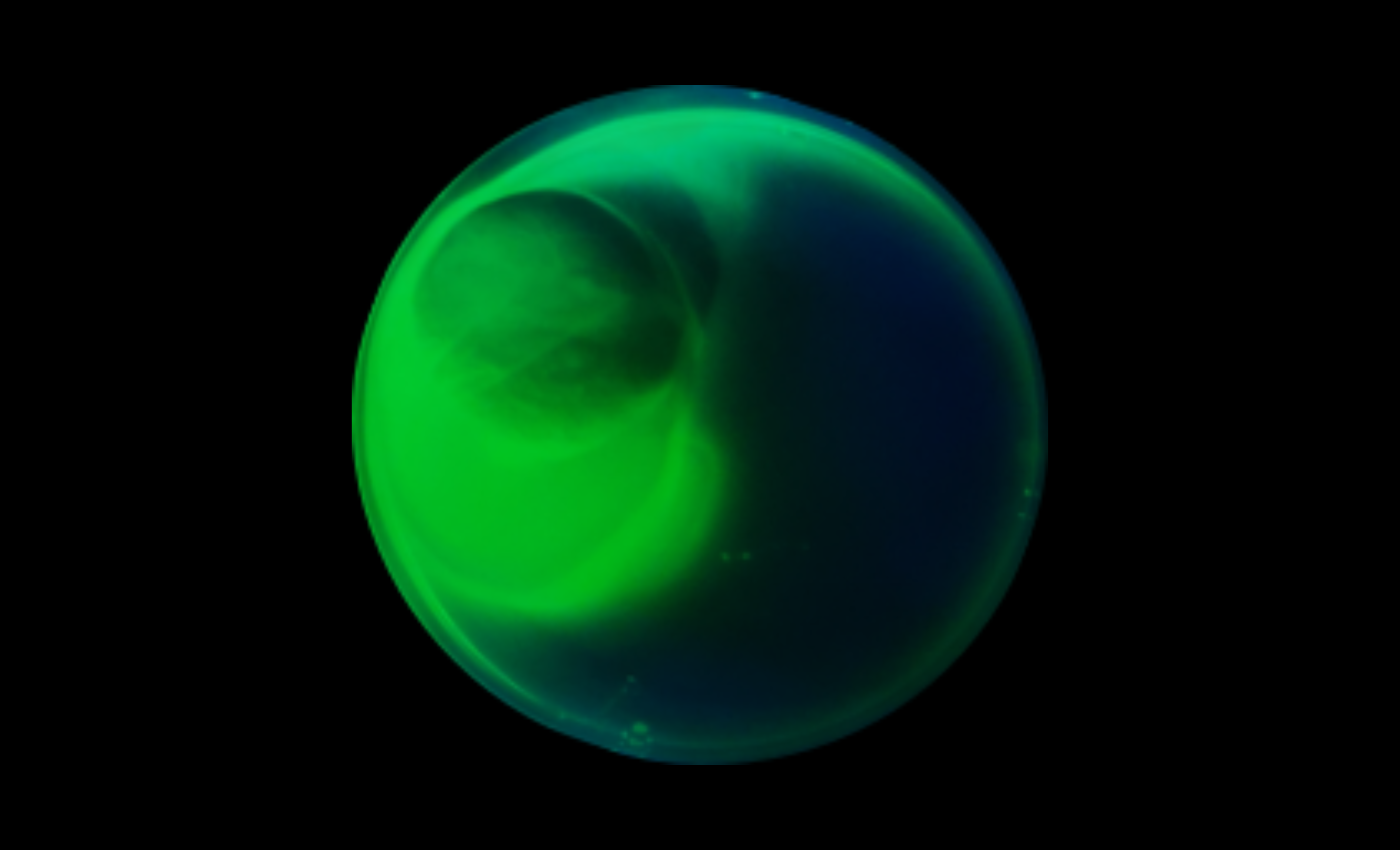 달걀 생체반응기